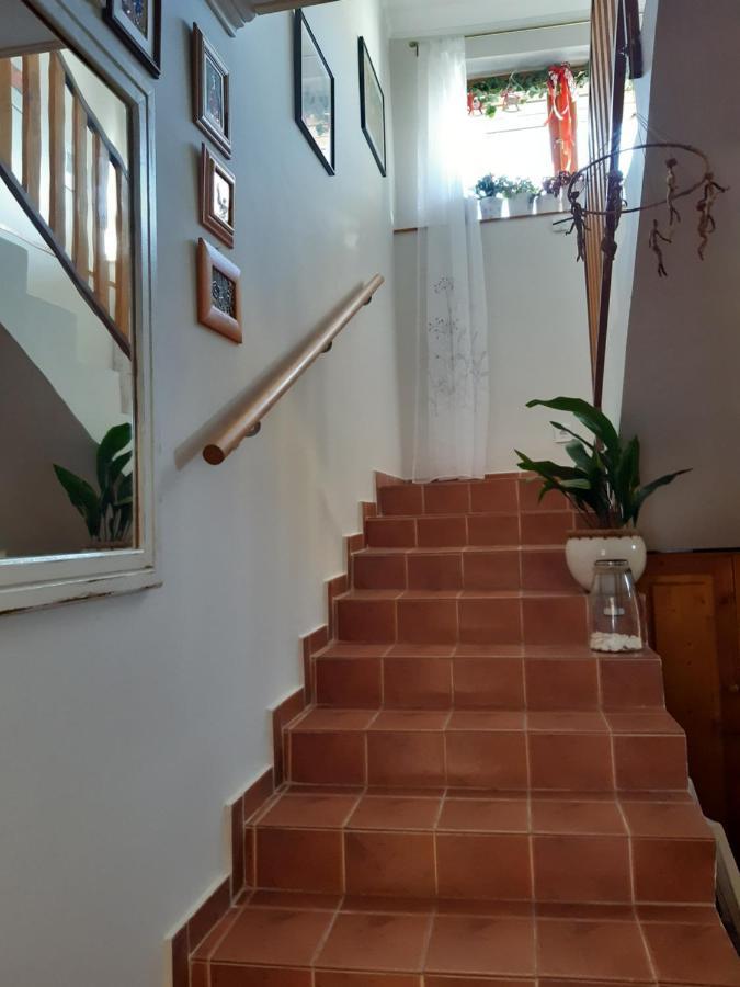 Nora Apartman Gyula Luaran gambar